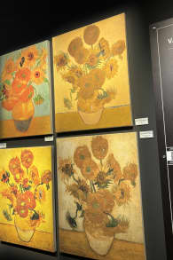 Photo 5 from Van Gogh: The Immersive Experience