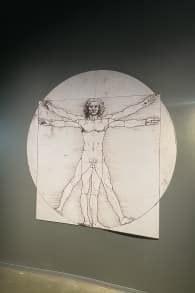 Photo 1 from Visualfarm Gymnasium: Leonardo da Vinci