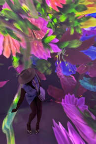 Photo 0 from ARTECHOUSE Presents: Blooming Wonders