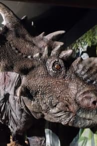Photo 6 from Jurassic World: The Experience