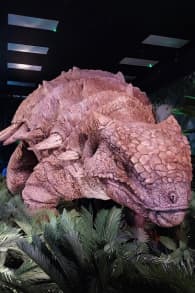 Photo 9 from Jurassic World: The Experience