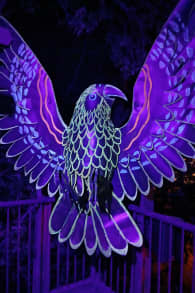 Photo 0 from LUMA Enchanted: A Whimsical Sensory Night Walk
