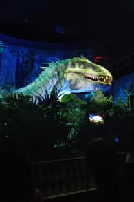 Photo 1 from Jurassic World The Experience Madrid