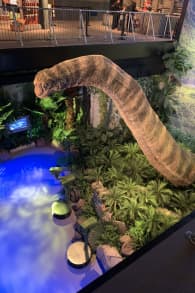 Photo 1 from Jurassic World: The Experience