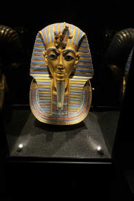 Photo 5 from Descubriendo la Tumba del Rey Tut