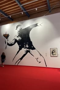 Photo 7 from The Art of Banksy: "Without Limits" Exhibition