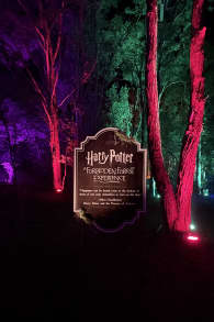 Photo 3 from Harry Potter™: A Forbidden Forest Experience