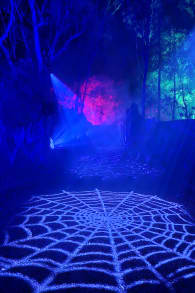 Photo 2 from Harry Potter™: A Forbidden Forest Experience