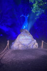 Photo 8 from Harry Potter™: A Forbidden Forest Experience