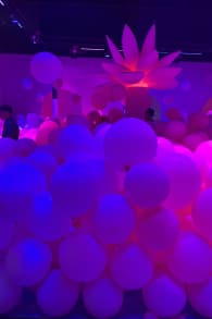 Photo 0 from Bubble Planet: An Immersive Experience in Washington DC