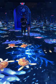 Photo 3 from Bubble Planet: Una Experiencia Inmersiva