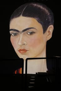Photo 5 from ﻿Viva Frida Kahlo: Een meeslepende 360° tentoonstelling in hartje Brussel