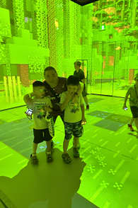 Photo 8 from Minecraft Experience: Villager Rescue