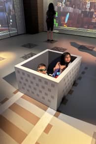 Photo 6 from Minecraft Experience: Villager Rescue