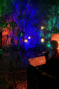 Photo 11 from Harry Potter™: A Forbidden Forest Experience