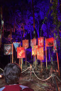 Photo 10 from Harry Potter™: A Forbidden Forest Experience