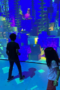 Photo 0 from Minecraft Experience: Villager Rescue