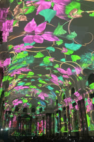 Photo 3 from Genesis: Um Espetáculo Imersivo de Luzes na Paróquia São Luís Gonzaga