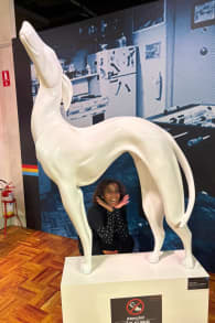 Photo 9 from The Friends Experience - The One in Rio