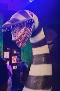 Photo 10 from Tim Burton, El Laberinto