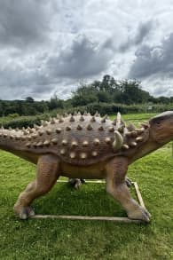 Photo 3 from The Lost Kingdom