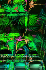 Photo 5 from Eonarium Genesis Santiago: Un show de luces inmersivo en Club de la Unión