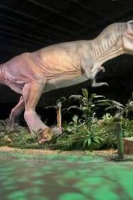 Photo 4 from Dinos Alive: An Immersive Experience