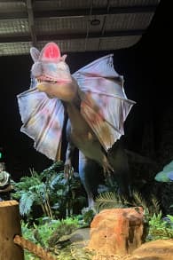 Photo 1 from Dinos Alive: An Immersive Experience