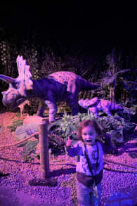 Photo 5 from Dinos Alive: An Immersive Experience