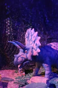 Photo 3 from Dinos Alive: An Immersive Experience