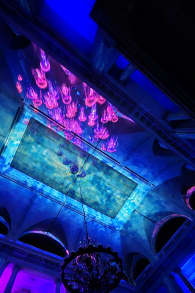 Photo 10 from Eonarium Genesis Santiago: Un show de luces inmersivo en Club de la Unión