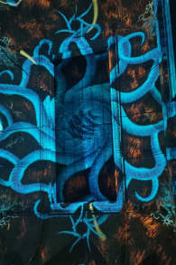 Photo 12 from Eonarium Genesis Santiago: Un show de luces inmersivo en Club de la Unión