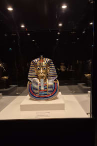 Photo 1 from Tutankhamun: The Immersive Exhibition