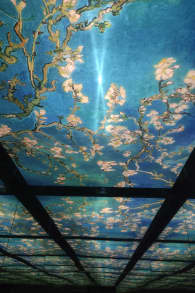 Photo 6 from Van Gogh à l'Atelier des Lumières