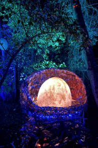 Photo 6 from LUMA Enchanted: A Whimsical Sensory Night Walk