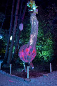 Photo 4 from LUMA Enchanted: A Whimsical Sensory Night Walk