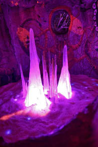 Photo 7 from LUMA Enchanted: A Whimsical Sensory Night Walk
