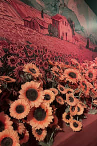 Photo 3 from Van Gogh: The Immersive Experience