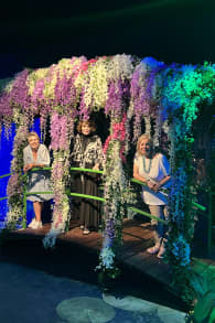 Photo 4 from Monet: The Immersive Experience