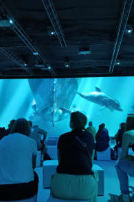 Photo 1 from The Legend of the Titanic Exhibition