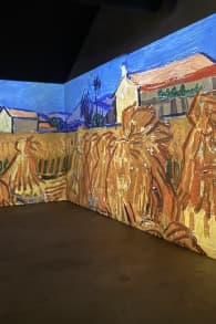 Photo 12 from Van Gogh en el Atelier des Lumières