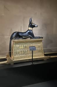 Photo 7 from Descubriendo la Tumba del Rey Tut