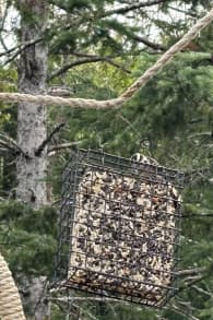 Photo 0 from Sentier des cimes Laurentides - Day tickets