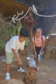 Photo 4 from Family Pack - Marineland Mallorca