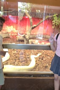 Photo 8 from Family Pack - Marineland Mallorca