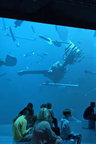 Photo 3 from The Legend of the Titanic Exhibition