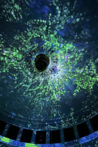 Photo 4 from Enlightenment: An Immersive Light Show at Leeds City Museum