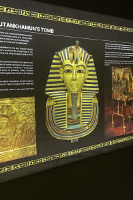 Photo 11 from Tutankhamun: The Immersive Exhibition