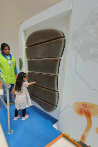 Photo 4 from Papalote Museo del Niño