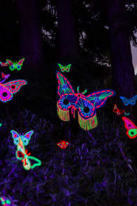 Photo 9 from LUMA Enchanted: A Whimsical Sensory Night Walk